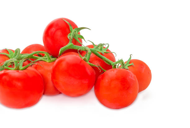istock Branches of the ripe red tomatoes closeup at selective focus 950619396