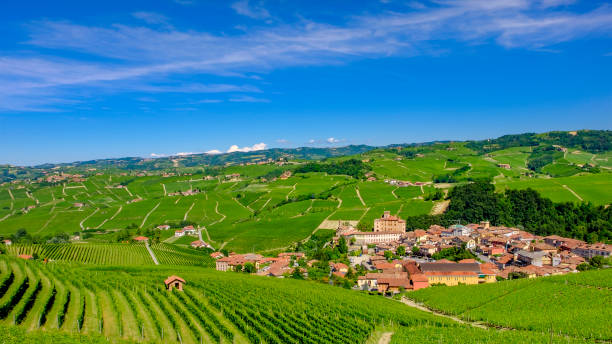 Barolo among its vineyards in the Langhe, a hill area mostly based on vine cultivation and well known for the production of Barolo wine. Province of Cuneo, Piedmont, Italy