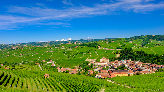 Barolo among its vineyards in the Langhe, a hill area mostly based on vine cultivation and well known for the production of Barolo wine. Province of Cuneo, Piedmont, Italy