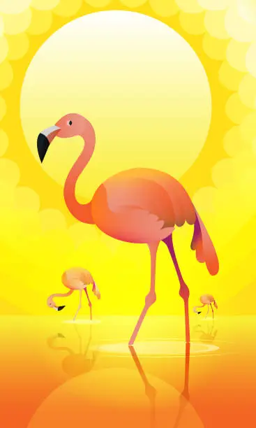 Vector illustration of Pink flamingo on sun background