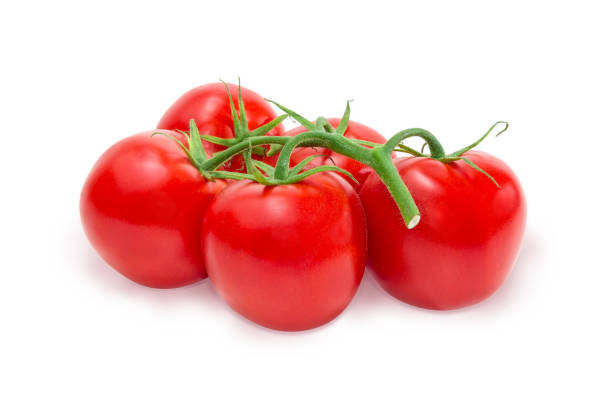 istock Branch of the red tomatoes on a white background 950622830