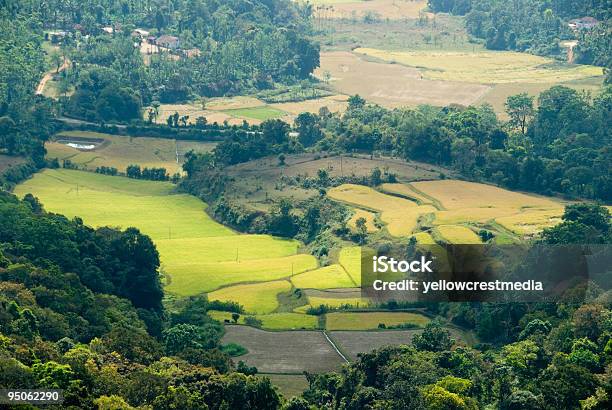 Green Fertile Valley With Fields And Woods Stock Photo - Download Image Now - Agricultural Field, Beauty In Nature, Color Image