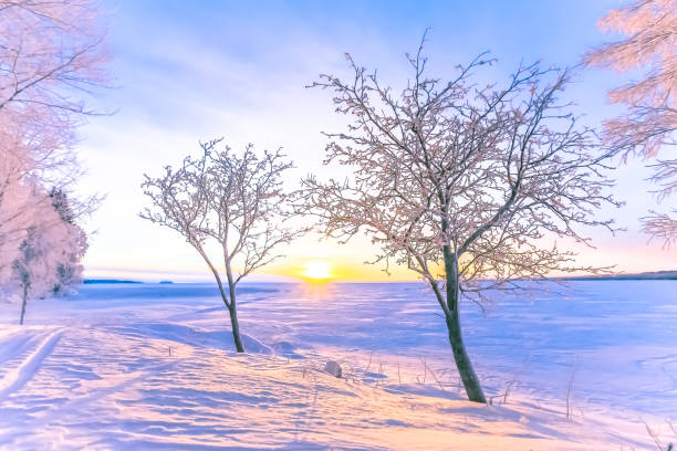 Winter sunrise from Sotkamo, Finland.