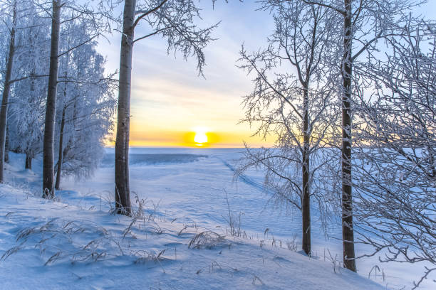 istock Winter sunrise from Sotkamo, Finland. 950623520