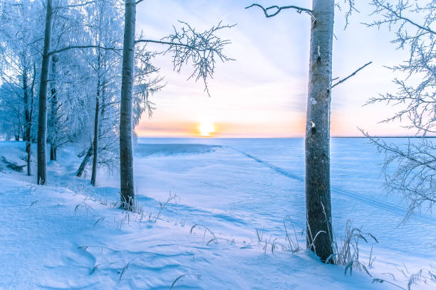 istock Winter sunrise from Sotkamo, Finland. 950623552
