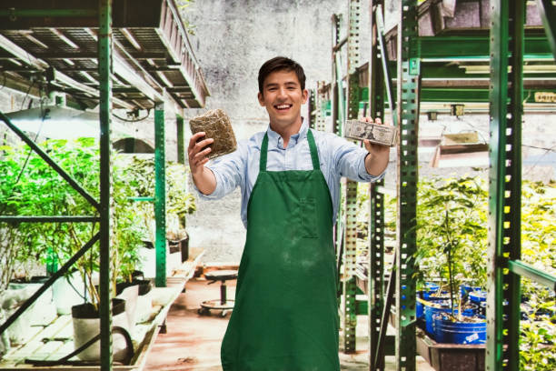 istock Man showing how profitable the marijuana business is 950623734