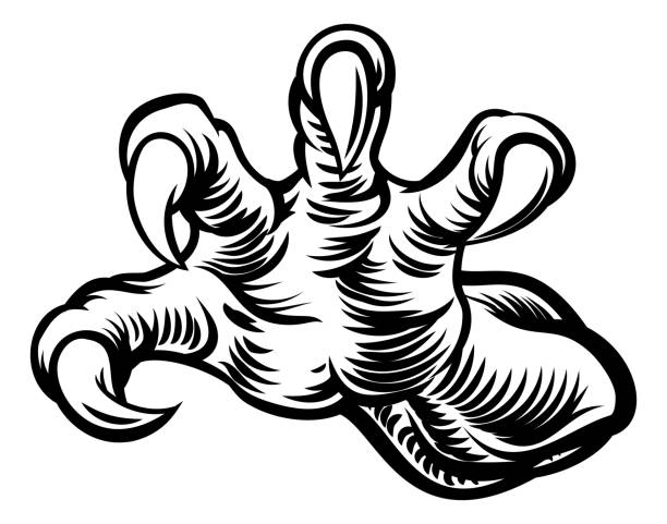 2,400+ Dragon Claw Stock Illustrations, Royalty-Free Vector Graphics