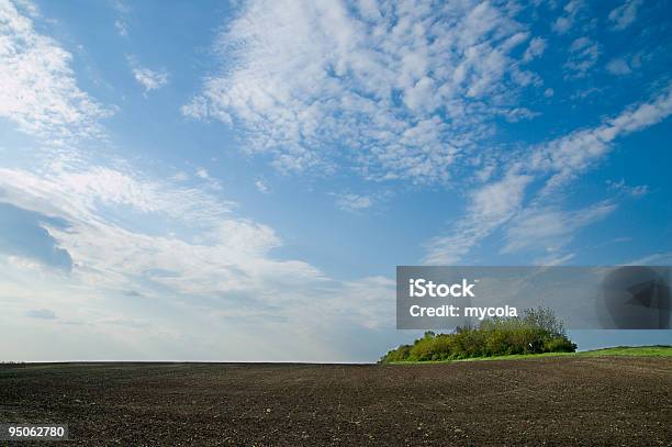 Foto de Preto Campo e mais fotos de stock de Ajardinado - Ajardinado, Azul, Beleza natural - Natureza