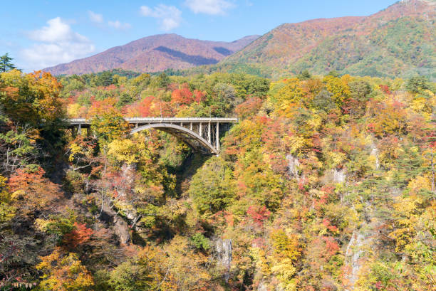 istock Naruko Gorge Miyagi Tohoku Japan 950629710