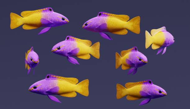 istock Realistic 3d Render of Fairy Basslet 950630410