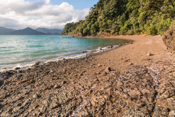 ピクトン マールボロ ・ サウンド、ニュージーランド近くの砂浜 - queen charlotte sound ストックフォトと画像