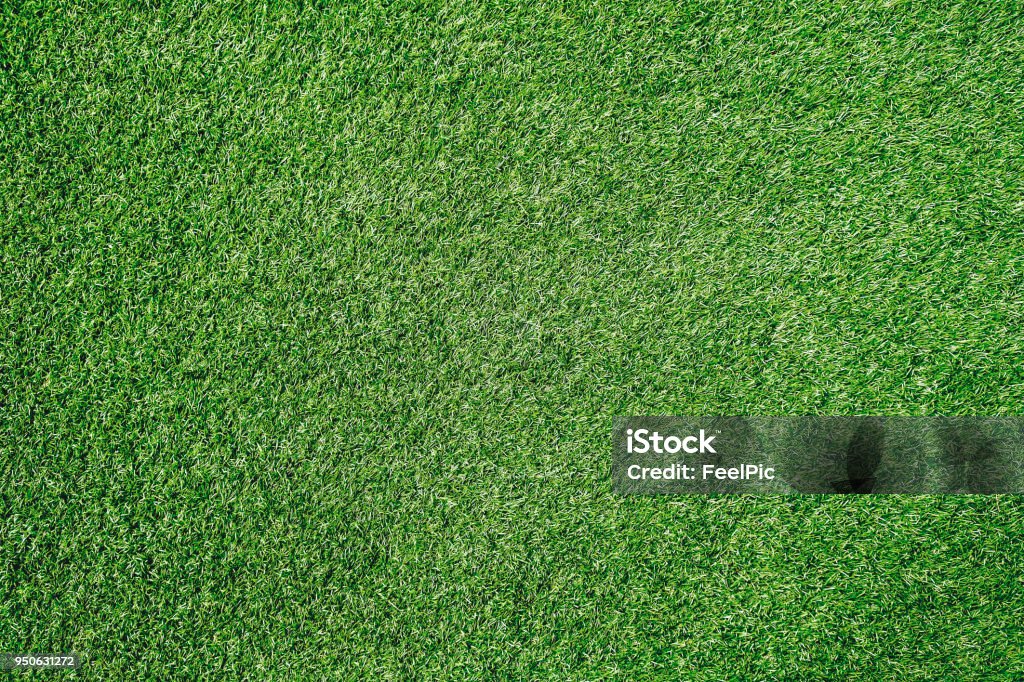 Green grass texture background Soccer field Grass Stock Photo