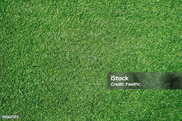 Green Grass Texture Background Soccer Field Stock Photo - Download Image Now - Grass, Soccer, Soccer Ball