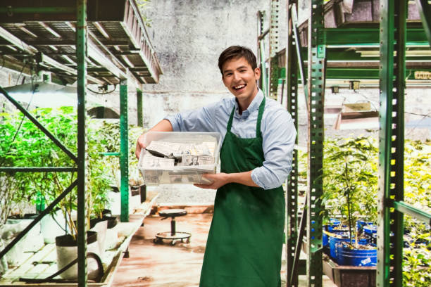 istock Man showing how profitable the marijuana business is 950633300