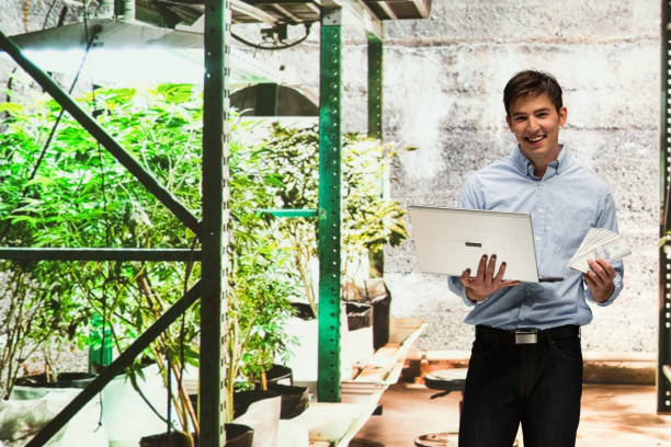 istock Marijuana business owner 950633684