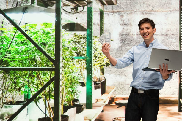 istock Marijuana business owner 950634574