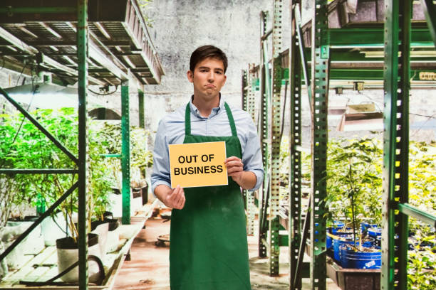 istock Business owner is sad that his marijuana business is closing 950638342