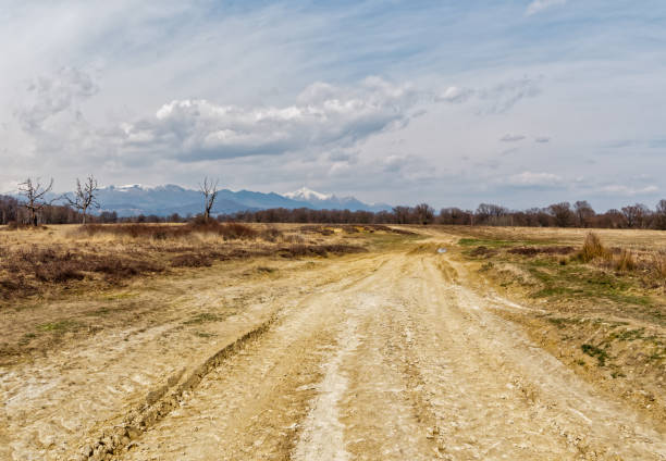 Impressive Baragge landscape in the afternoon light, road in the nature reserve of Baraggia, Italy, Candelo