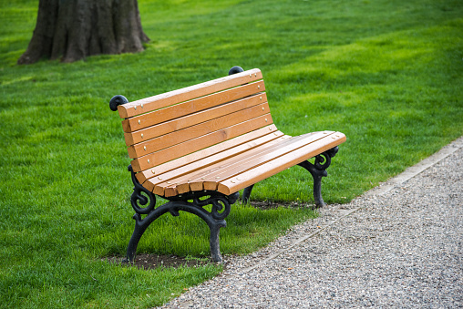 Empty bench on the lawn