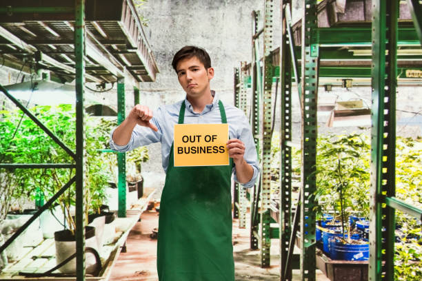 istock Business owner is sad that his marijuana business is closing 950640014