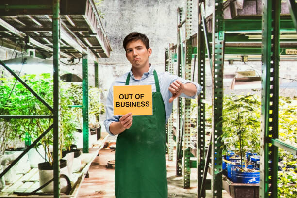 istock Business owner is sad that his marijuana business is closing 950640106