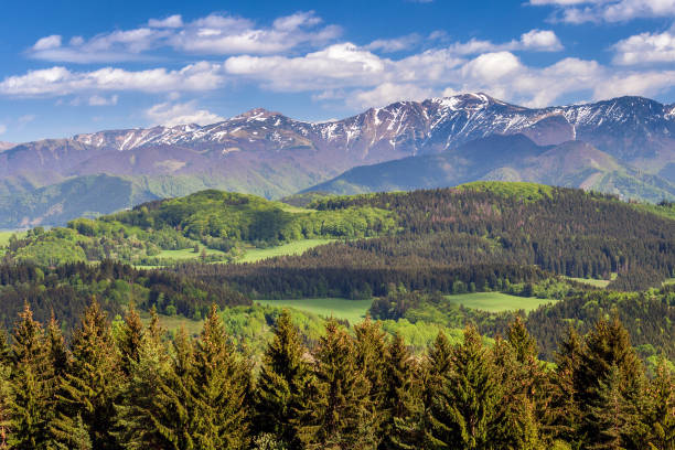 istock Mountain landscape in spring-time, the national park Mala Fatra. 950645058