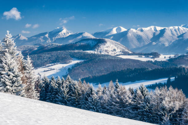 istock Snowy landscape with mountains at sunny day. 950645158