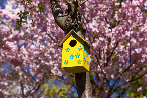 wooden birdhouse on a tree in spring. yellow birdhouse on tree branch with spring flowers