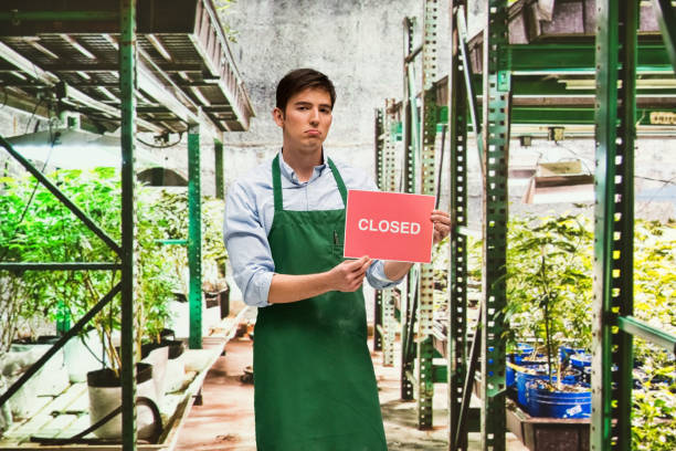istock Business owner is sad that his marijuana business is closing 950646038