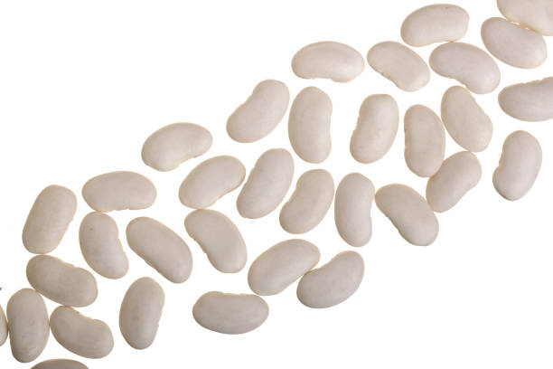 istock White kidney beans isolated on white background with copy space for your text. Top view 950646714