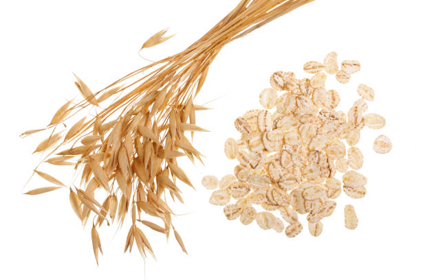 istock oat spike with oat flakes isolated on white background. Top view 950649450