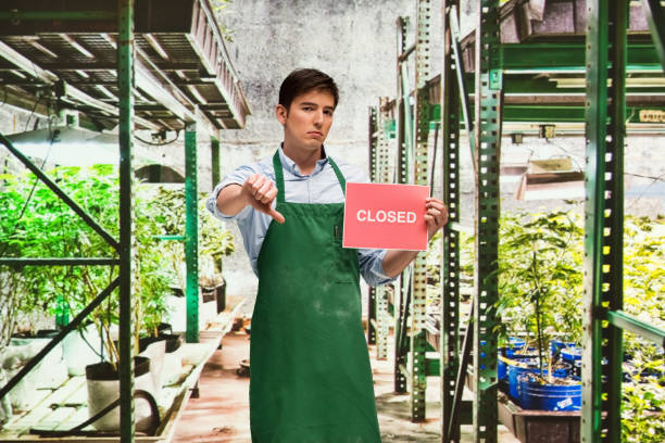 istock Business owner is sad that his marijuana business is closing 950649528