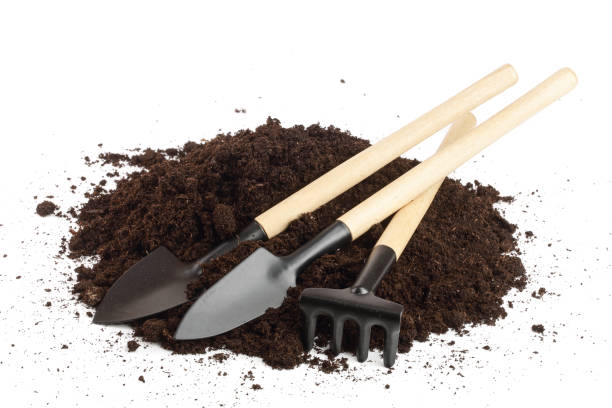 istock garden tools in soil isolated on white background 950649582