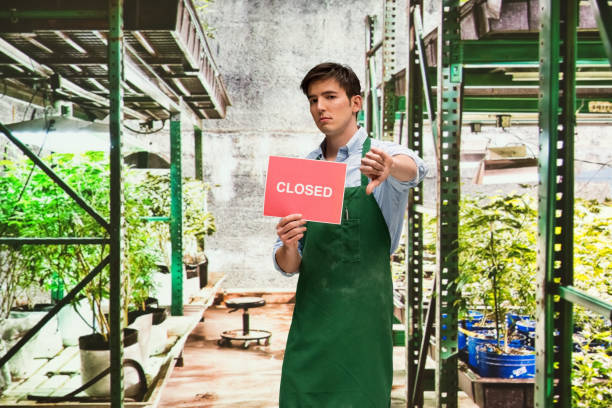 istock Business owner is sad that his marijuana business is closing 950649588