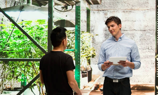 istock Customer buying legal marijuana 950655942
