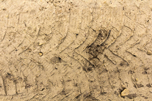 istock Tire tracks on a wet muddy road 950659650