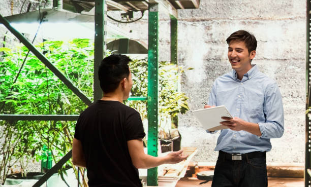 istock Customer buying legal marijuana 950659774