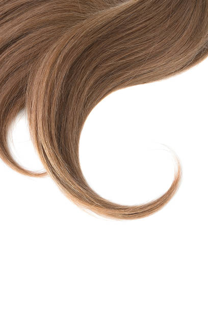 istock Curl of natural hair on a white background 950661116