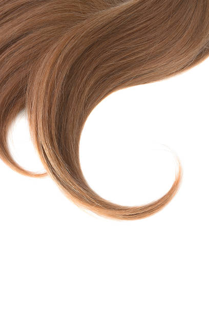 istock Curl of natural hair on a white background 950661118