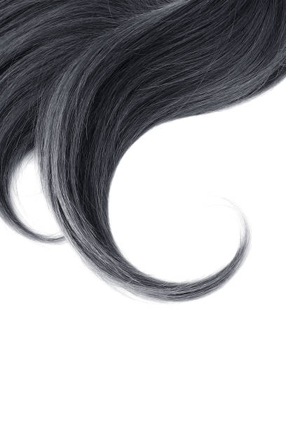 istock Black natural hair on white background 950661122