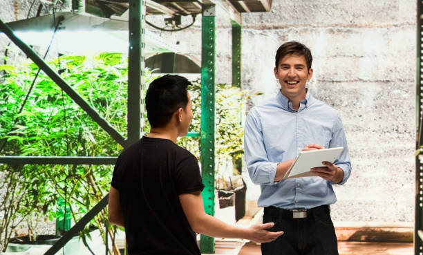 istock Customer buying legal marijuana 950661422