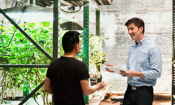 istock Customer buying legal marijuana 950665198