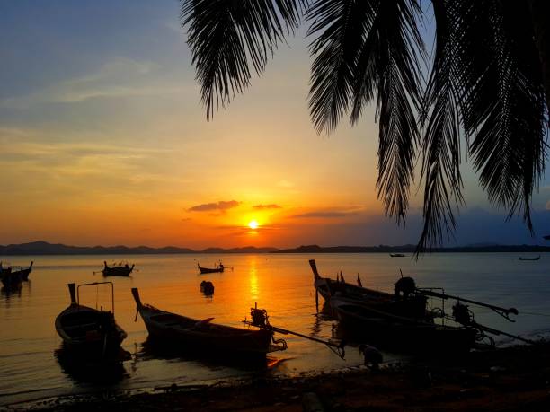 istock sunrise in a fishing harbour 950665440