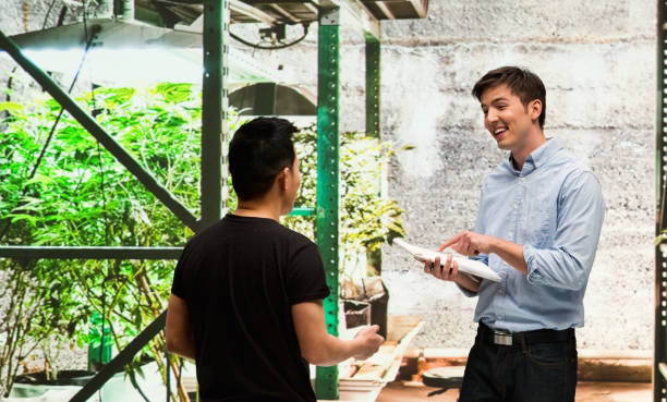 istock Customer buying legal marijuana 950665914