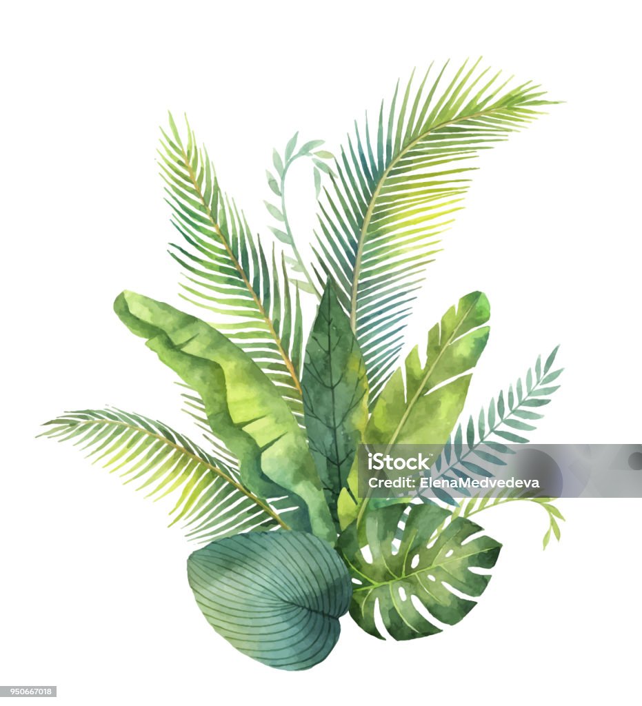 Watercolor vector bouquet tropical leaves and branches isolated on white background. Watercolor vector bouquet tropical leaves and branches isolated on white background. Illustration for design wedding invitations, greeting cards, postcards. Watercolor Painting stock vector