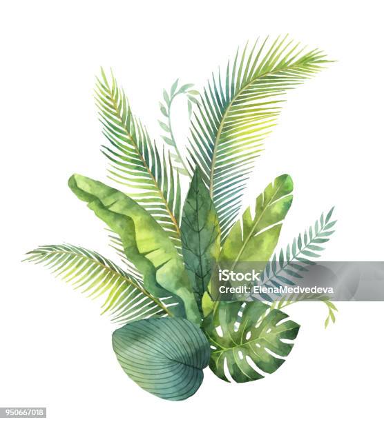 Watercolor Vector Bouquet Tropical Leaves And Branches Isolated On White Background Stock Illustration - Download Image Now