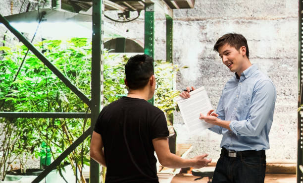 istock Customer buying legal marijuana 950669818
