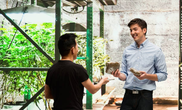 istock Customer buying legal marijuana 950671774