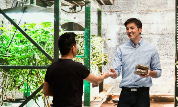istock Customer buying legal marijuana 950675746