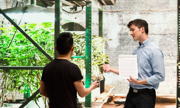 istock Customer buying legal marijuana 950676238